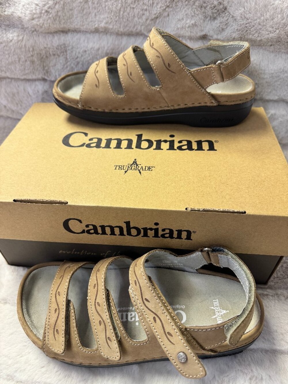 Cambrian Women's Delphi 3 Walking Sandals